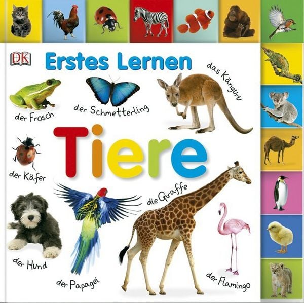 Produktbild: Erstes Lernen. Tiere
