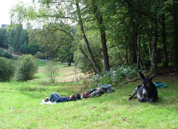 Produktbild: Esel - Wanderungen im Limousin