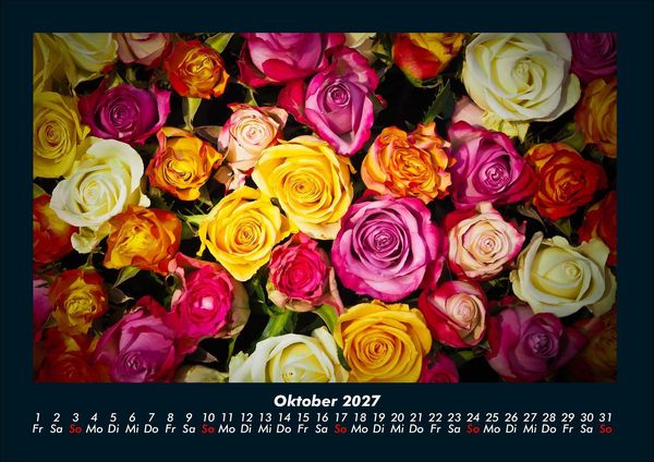 Produktbild: Rosen-Kalender 2027 Fotokalender DIN A4