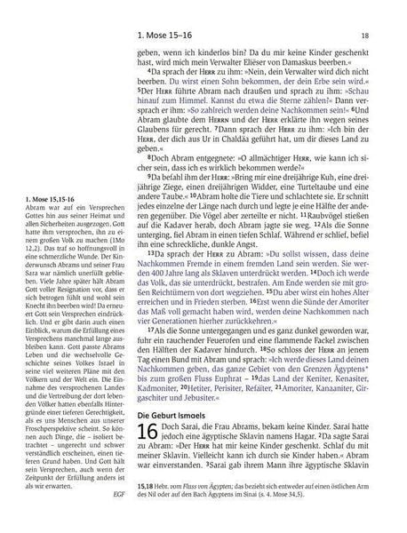 Produktbild: Das Buch der Versprechen