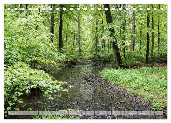 Produktbild: Teutoburger Wald - Natur und Kultur (Tischkalender 2026 DIN A5 quer), CALVENDO Monatskalender