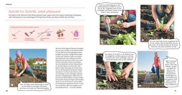 Produktbild: Garten Basics