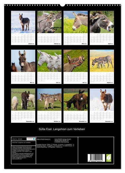 Produktbild: S&uuml;&szlig;e Esel. Langohren zum Verlieben (hochwertiger Premium Wandkalender 2026 DIN A2 hoch), Kunstdruck in Hochglanz
