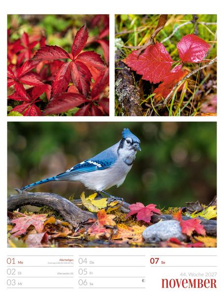 Produktbild: Farben der Natur Wochenplaner Kalender 2027