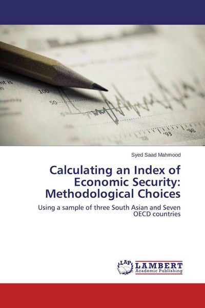 Produktbild: Calculating an Index of Economic Security: Methodological Choices