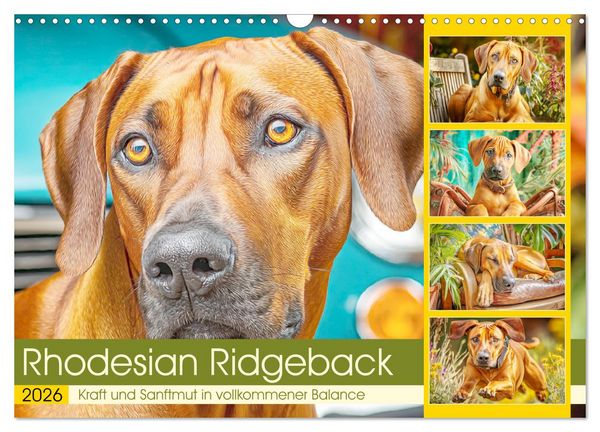 Produktbild: Rhodesian Ridgeback. Kraft und Sanftmut in vollkommener Balance (Wandkalender 2026 DIN A3 quer), CALVENDO Monatskalender