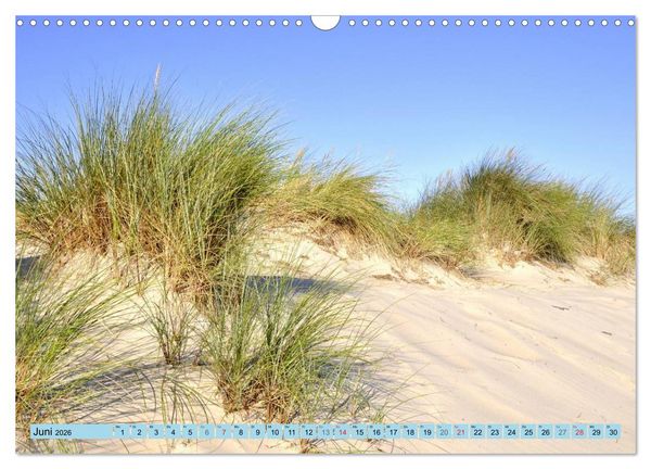 Produktbild: Die Ostsee (Wandkalender 2026 DIN A3 quer), CALVENDO Monatskalender