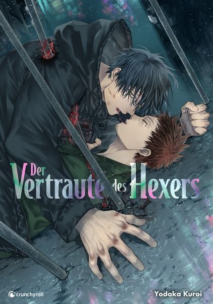 Produktbild: Der Vertraute des Hexers
