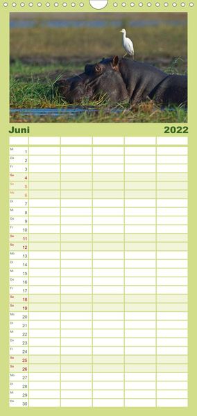 Produktbild: Flusspferde Magie des Augenblicks - Hippos in Afrika - Familienplaner hoch (Wandkalender 2022 , 21 cm x 45 cm, hoch)