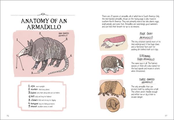 Produktbild: Wildlife Anatomy