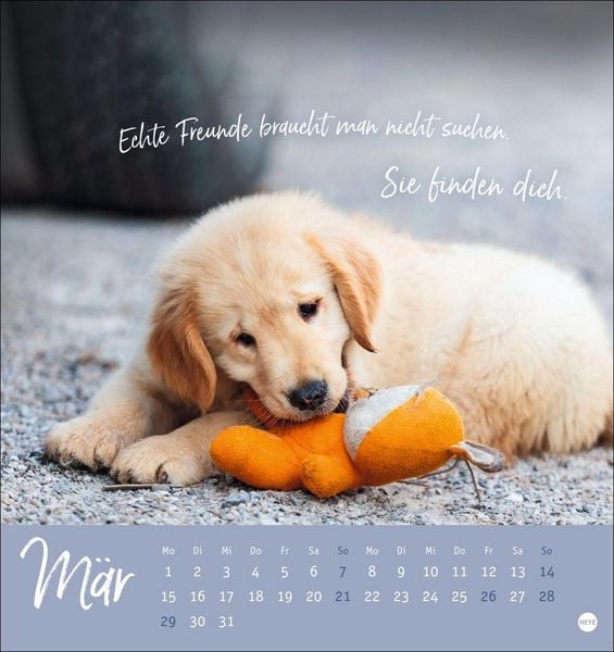 Produktbild: Ziemlich beste Freunde Postkartenkalender 2027 - F&uuml;r immer dein