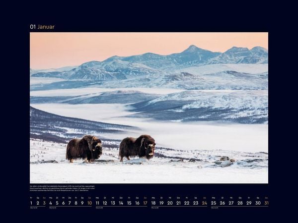 Produktbild: Sch&ouml;nheit des Nordens - KUNTH Wandkalender 2027