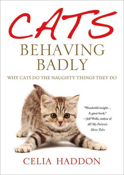 Produktbild: Cats Behaving Badly