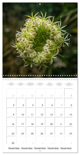 Produktbild: Harmonie Florale Des Pr&eacute;s aux Villes (Calendrier mural carr&eacute; 2026 30x30 cm) Calendrier double avec une page pour vos prises de notes