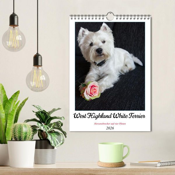 Produktbild: West Highland White Terrier - Herzensbrecher auf vier Pfoten (Wandkalender 2026 DIN A4 hoch), CALVENDO Monatskalender