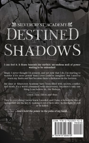 Produktbild: Destined Shadows
