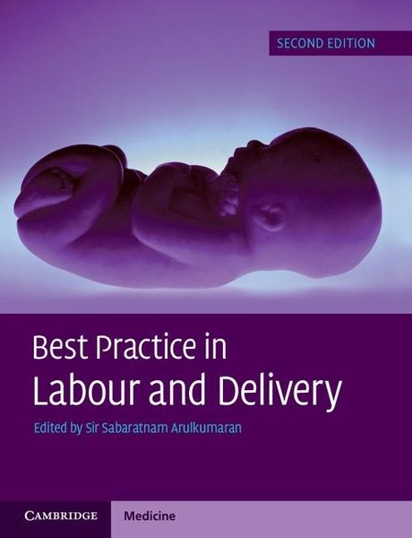 Produktbild: Best Practice in Labour and Delivery