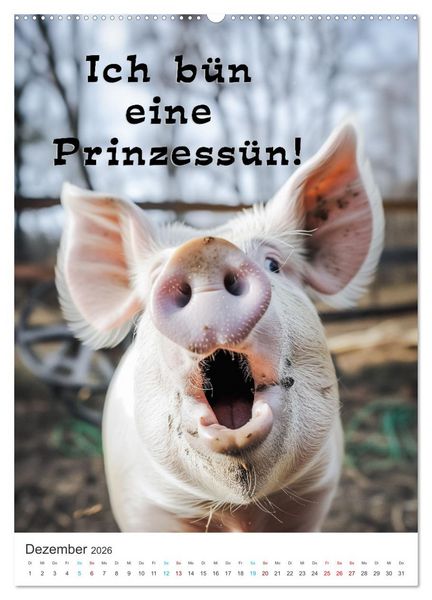 Produktbild: Lustige Tiere (Wandkalender 2026 DIN A2 hoch), CALVENDO Monatskalender