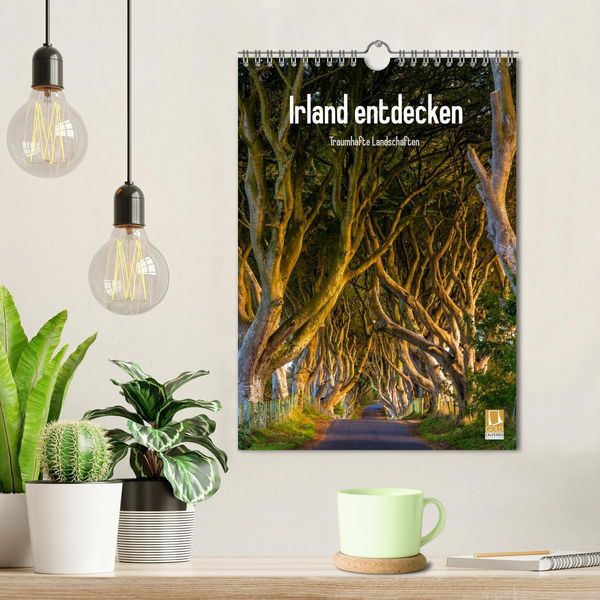 Produktbild: Irland entdecken (Wandkalender 2026 DIN A4 hoch), CALVENDO Monatskalender