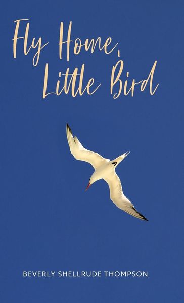 Produktbild: Fly Home, Little Bird