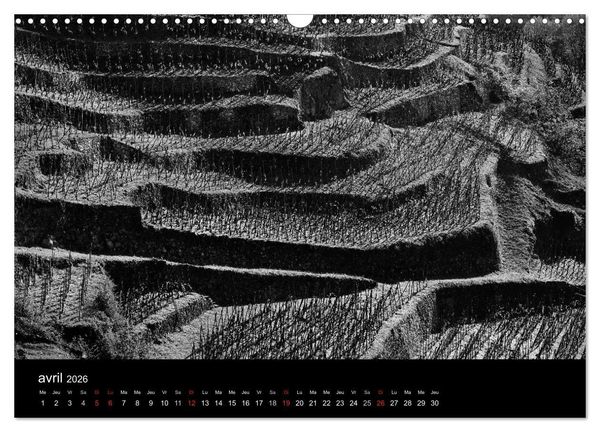 Produktbild: VIGNES DU SUD terroirs d'AOC (Calendrier mural 2026 DIN A3 vertical), CALVENDO calendrier mensuel