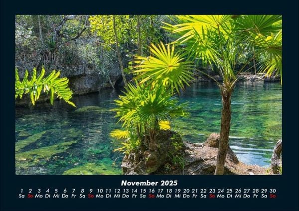 Produktbild: Palmentraum 2025 Fotokalender DIN A4