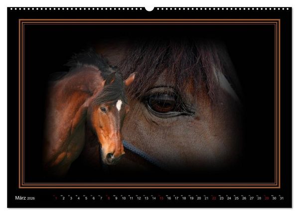 Produktbild: Traumpferde-ART-Collection (hochwertiger Premium Wandkalender 2026 DIN A2 quer), Kunstdruck in Hochglanz