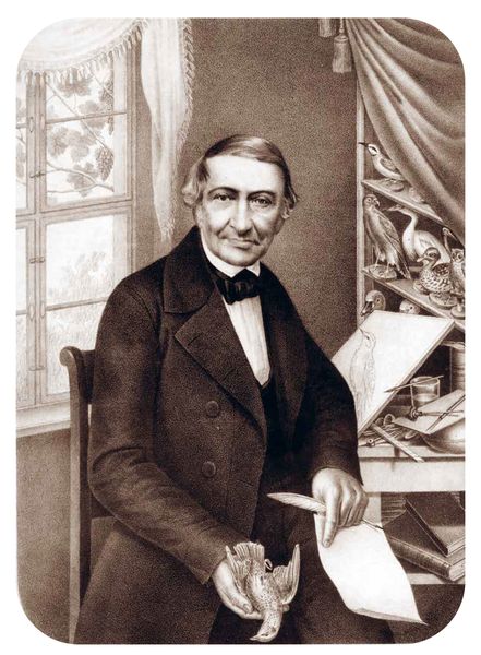 Produktbild: Johann Friedrich Naumann &ndash; Die V&ouml;gel Mitteleuropas