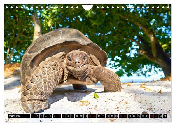 Produktbild: Seychellen Inselblicke (Wandkalender 2026 DIN A4 quer), CALVENDO Monatskalender