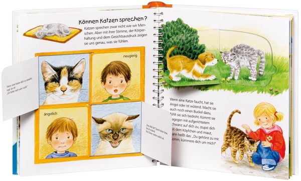 Produktbild: Die Katze / Wieso? Weshalb? Warum? Junior Bd. 21