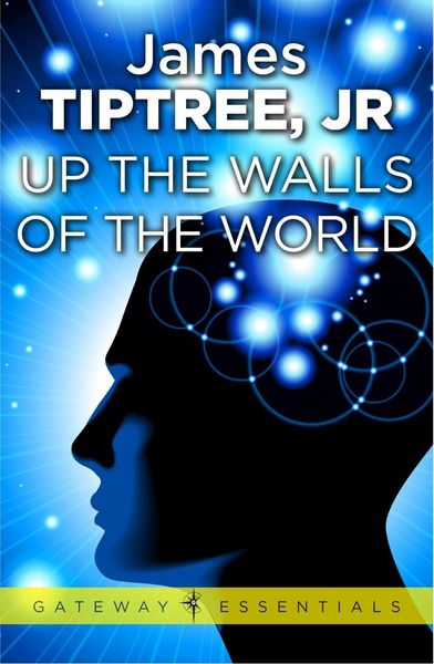 Produktbild: Up The Walls of the World