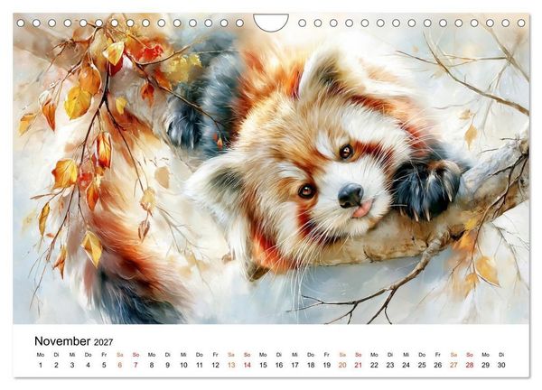 Produktbild: Roter Panda - Tierische Eleganz (Wandkalender 2027 DIN A4 quer), CALVENDO Monatskalender