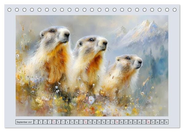 Produktbild: Murmeltiere. Kleine W&auml;chter der Berge (Tischkalender 2027 DIN A5 quer), CALVENDO Monatskalender