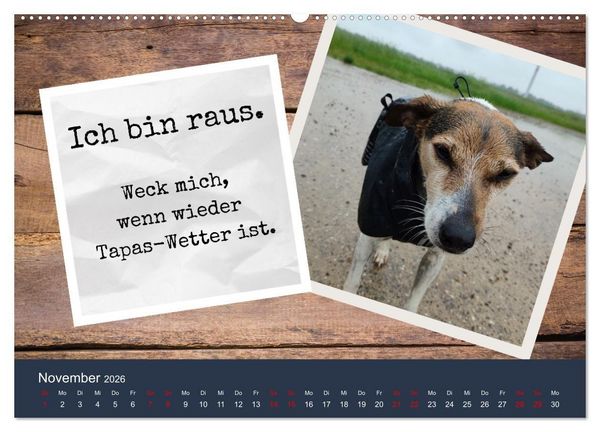 Produktbild: Ratonero Bodeguero Andaluz (hochwertiger Premium Wandkalender 2026 DIN A2 quer), Kunstdruck in Hochglanz
