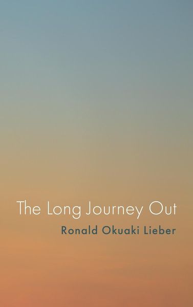 Produktbild: The Long Journey Out