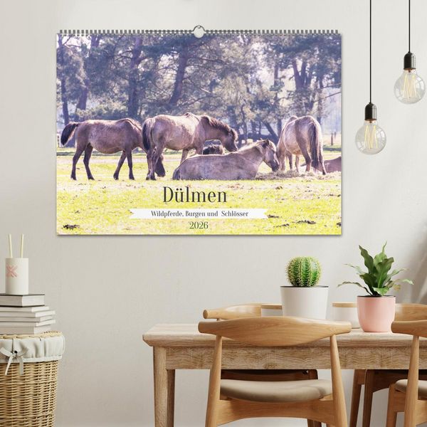 Produktbild: D&uuml;lmen - Wildpferde, Burgen und Schl&ouml;sser (Wandkalender 2026 DIN A2 quer), CALVENDO Monatskalender