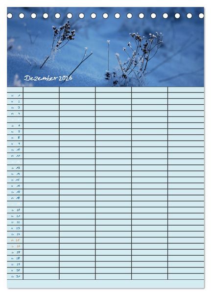 Produktbild: Kleine Natursch&ouml;nheiten (Tischkalender 2026 DIN A5 hoch), CALVENDO Monatskalender