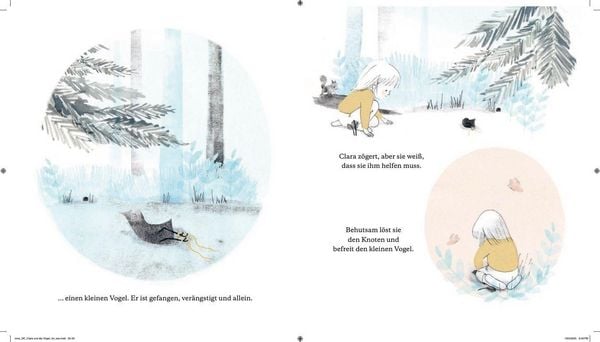 Produktbild: Clara und die V&ouml;gel