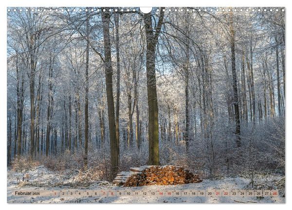 Produktbild: Impressionen aus Mecklenburg - Vorpommern (Wandkalender 2026 DIN A3 quer), CALVENDO Monatskalender