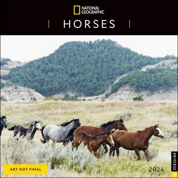 Produktbild: National Geographic: National Geographic: Horses 2024 Wall C