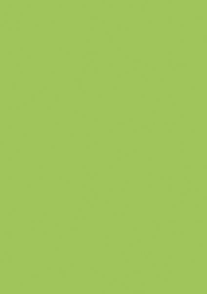 Produktbild: Brunnen Universalpapier A4 160g hgn 25Bl