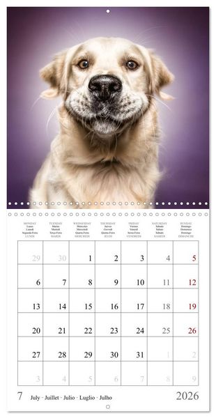 Produktbild: Funny Dog Faces (Wall Calendar 2026 12 &times; 12 Inch) CALVENDO 12 Month Wall Calendar