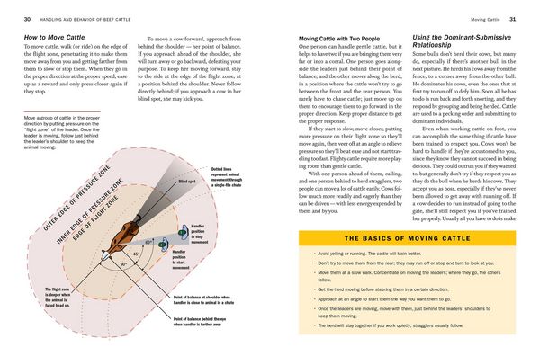 Produktbild: Storey's Guide to Raising Beef Cattle, 4th Edition