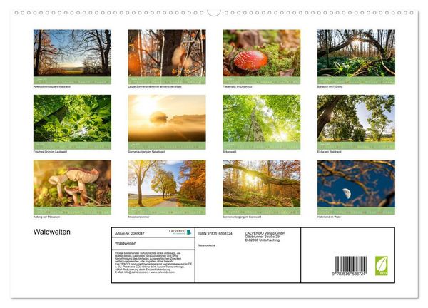Produktbild: Waldwelten (hochwertiger Premium Wandkalender 2026 DIN A2 quer), Kunstdruck in Hochglanz