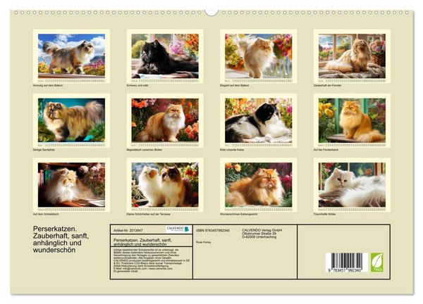 Produktbild: Perserkatzen. Zauberhaft, sanft, anh&auml;nglich und wundersch&ouml;n (hochwertiger Premium Wandkalender 2026 DIN A2 quer), Kunstdruck in Hochglanz