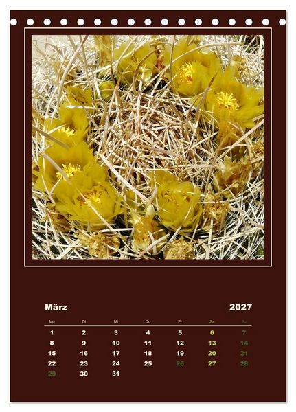 Produktbild: Wilde Kakteen Amerikas (Tischkalender 2027 DIN A5 hoch), CALVENDO Monatskalender