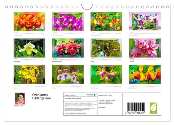 Produktbild: Orchideen Bildergalerie (Wandkalender 2026 DIN A4 quer), CALVENDO Monatskalender
