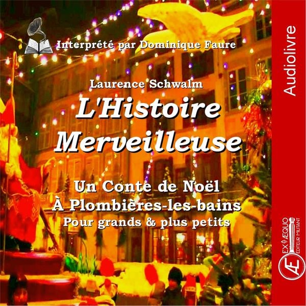 L'histoire merveilleuse - Laurence Schwalm, Audio, 9791038802834