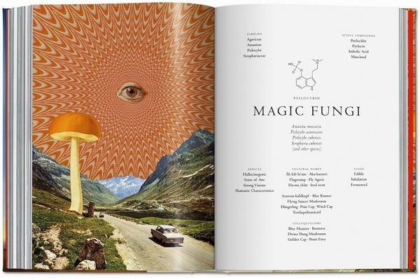 Produktbild: Pflanzen-Magie. Bibliothek der Esoterik