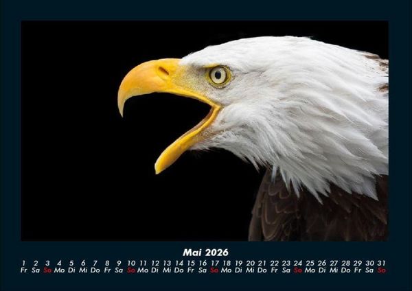 Produktbild: Adler 2026 Fotokalender DIN A4